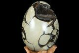 Septarian Dragon Egg Geode - Black Crystals #78546-3